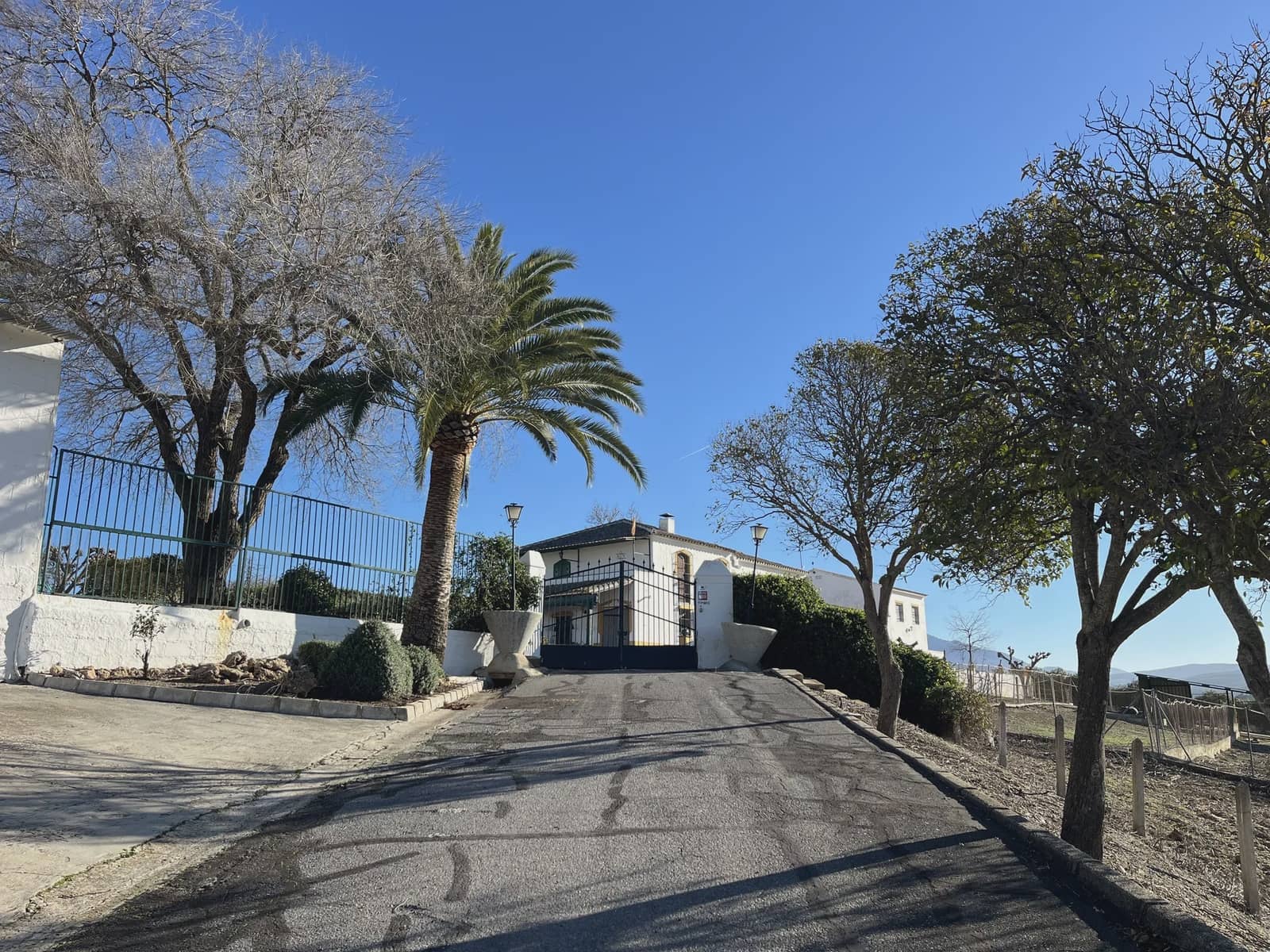 11 Zimmer Finca/Landgut zu verkaufen in Lucena mit Pool Garage - 950.000 € (Ref: 10022982)