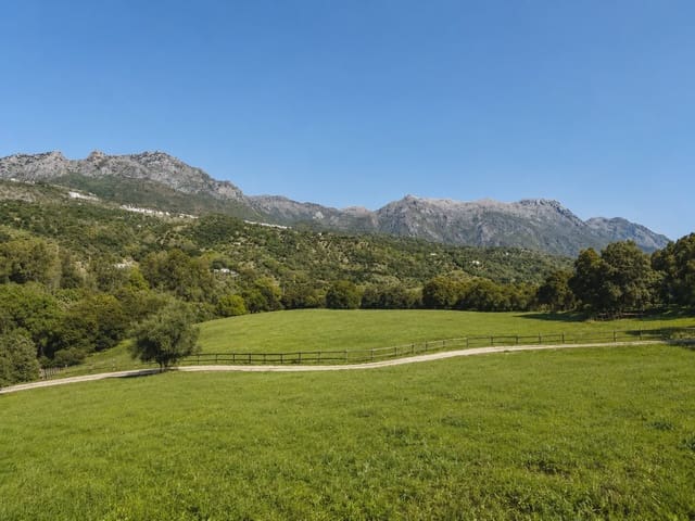 4 chambre Finca/Maison de Campagne à vendre à Cortes de la Frontera avec piscine garage - 3 950 000 € (Ref: 10022983)