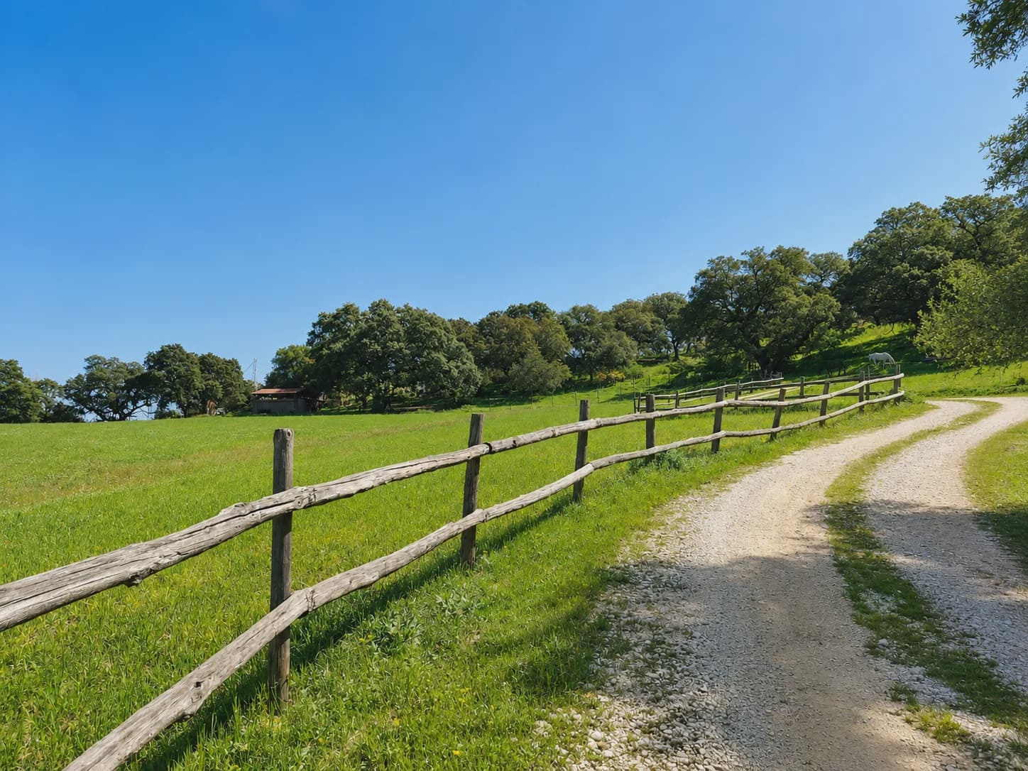 4 chambre Finca/Maison de Campagne à vendre à Cortes de la Frontera avec piscine garage - 3 950 000 € (Ref: 10022983)