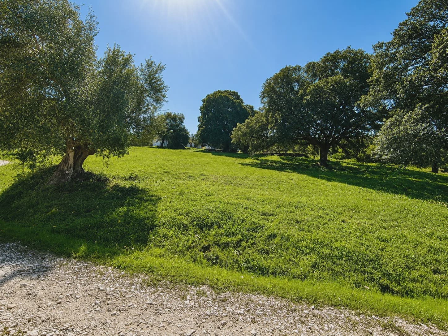 4 chambre Finca/Maison de Campagne à vendre à Cortes de la Frontera avec piscine garage - 3 950 000 € (Ref: 10022983)