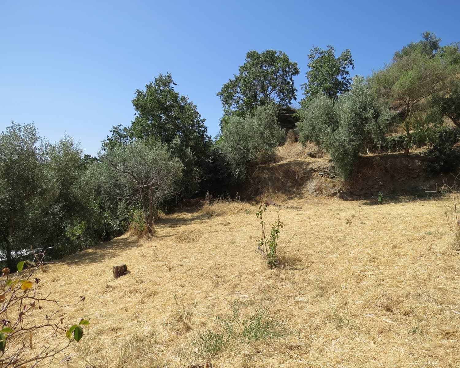 3 quarto Quinta/Casa Rural para venda em Mecina Bombaron com garagem - 119 000 € (Ref: 10060890)
