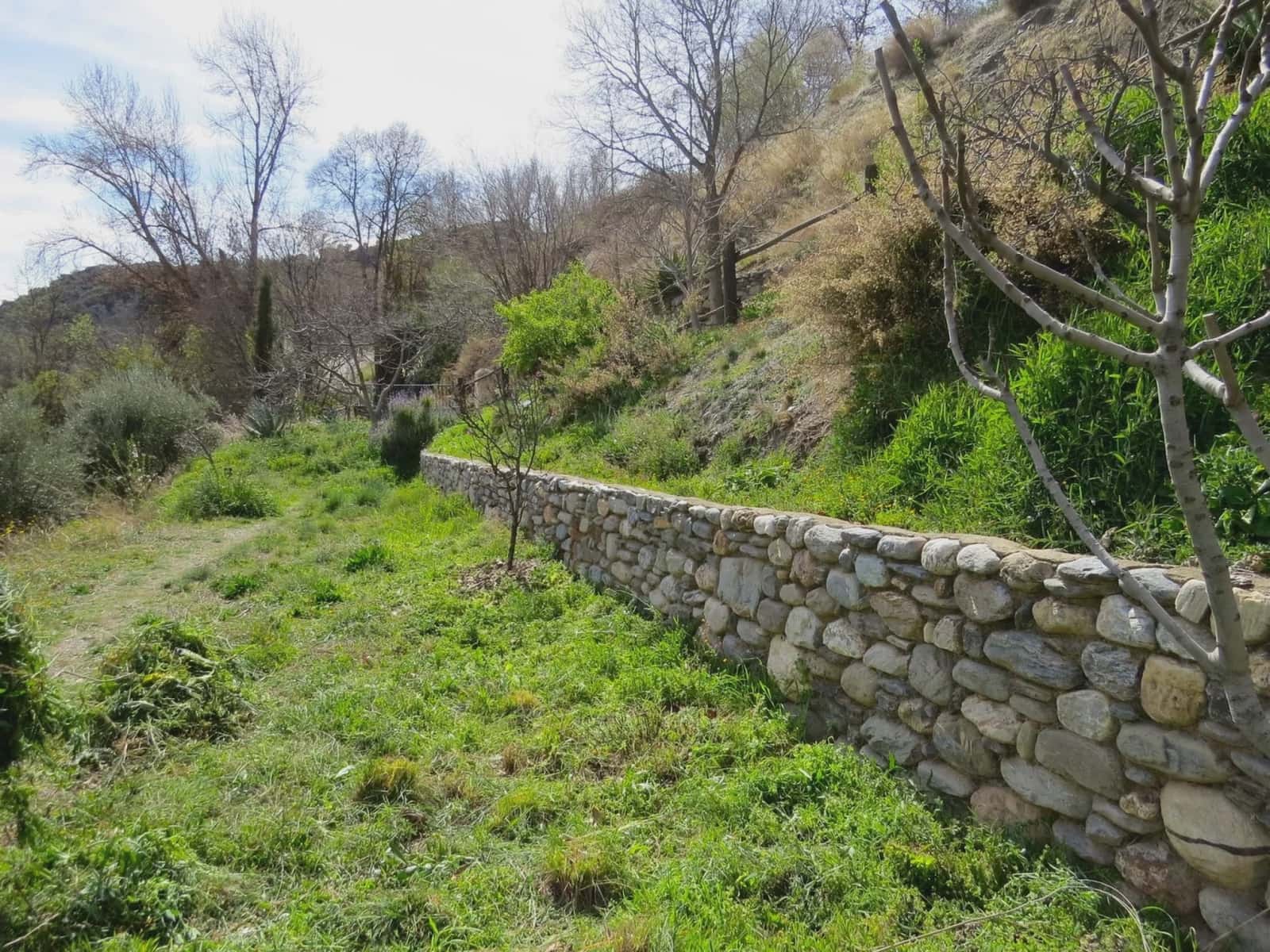 Finca/Casa Rural de 3 habitaciones en Bérchules en venta con garaje - 199.500 € (Ref: 10082188)