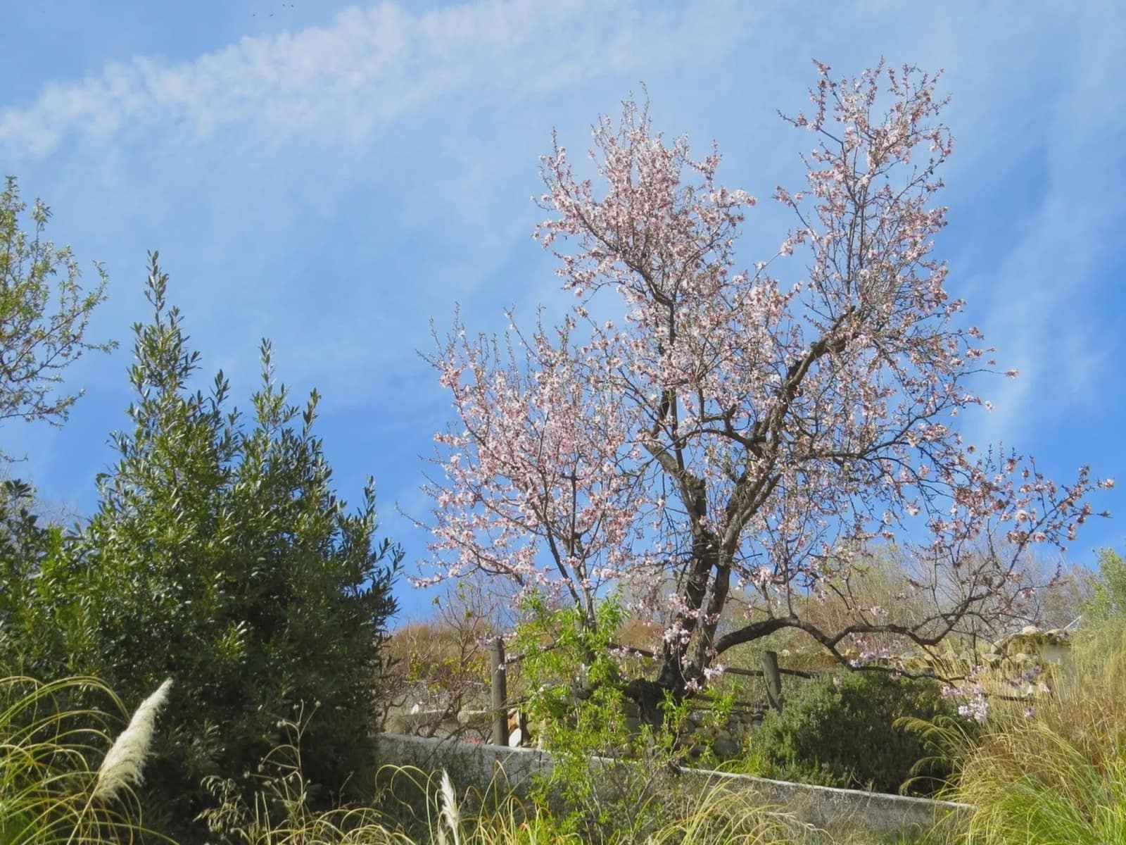 Finca/Casa Rural de 3 habitaciones en Bérchules en venta con garaje - 199.500 € (Ref: 10082188)