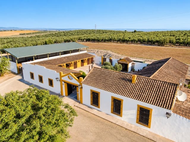 Finca/Casa Rural de 5 habitaciones en Morón de la Frontera en venta con piscina - 699.000 € (Ref: 10099139)