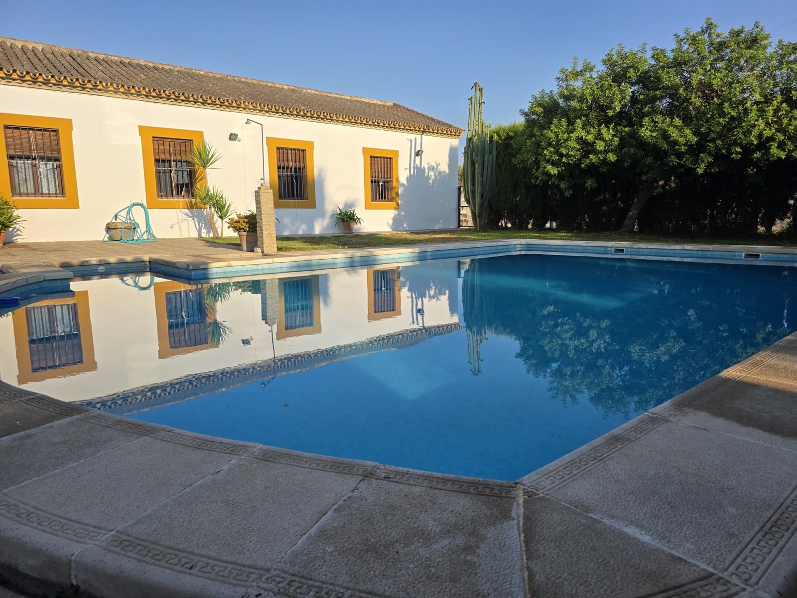 Finca/Casa Rural de 5 habitaciones en Morón de la Frontera en venta con piscina - 699.000 € (Ref: 10099139)