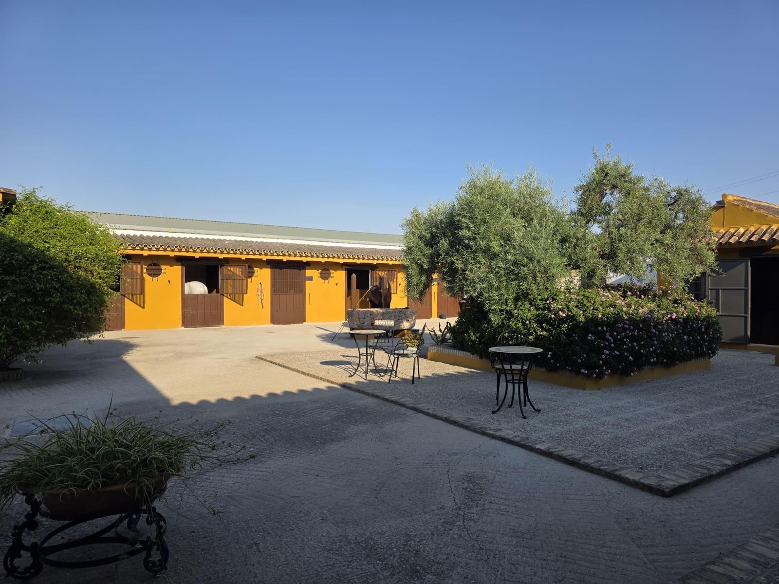 Finca/Casa Rural de 5 habitaciones en Morón de la Frontera en venta con piscina - 699.000 € (Ref: 10099139)