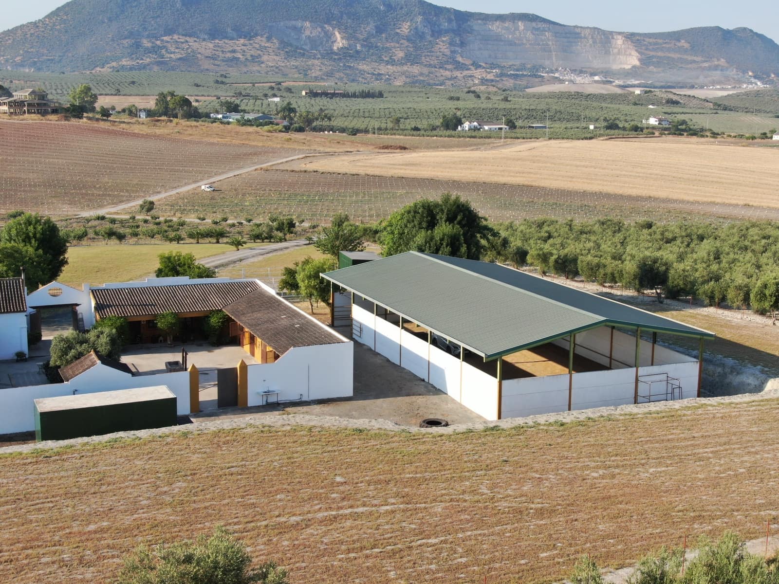 Finca/Casa Rural de 5 habitaciones en Morón de la Frontera en venta con piscina - 699.000 € (Ref: 10099139)