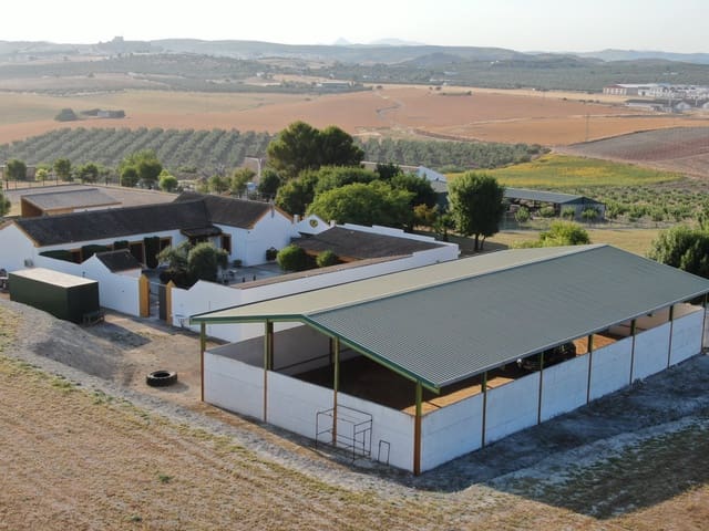 Finca/Casa Rural de 5 habitaciones en Morón de la Frontera en venta con piscina - 699.000 € (Ref: 10099139)