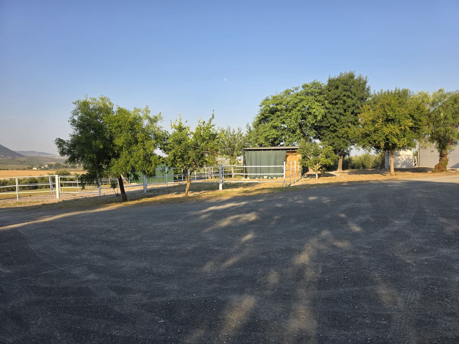 Finca/Casa Rural de 5 habitaciones en Morón de la Frontera en venta con piscina - 699.000 € (Ref: 10099139)