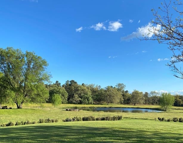 8 chambre Finca/Maison de Campagne à vendre à Villanueva de la Vera avec piscine garage - 1 450 000 € (Ref: 10101088)