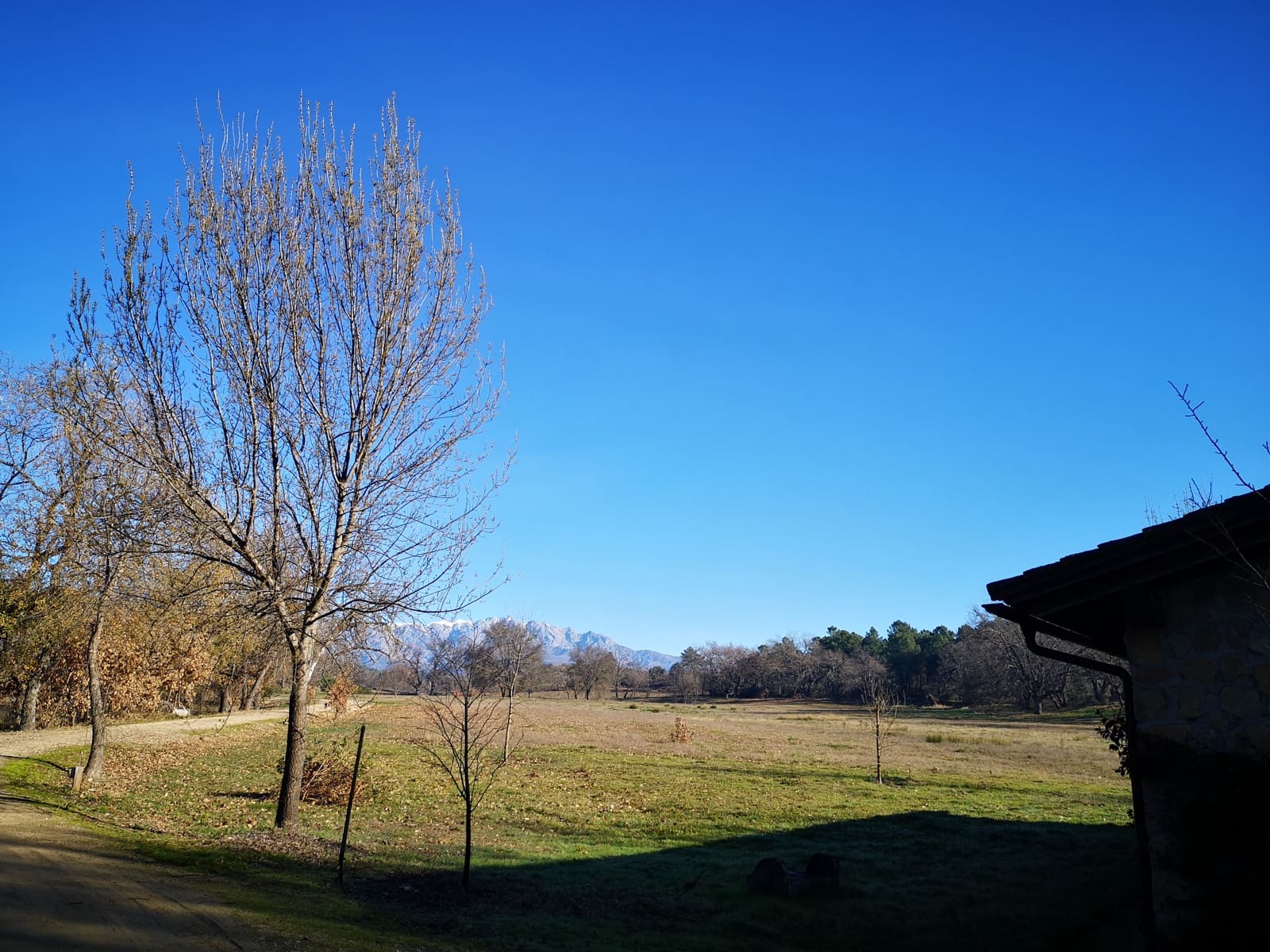 8 bedroom Finca/Country House for sale in Villanueva de la Vera with pool garage - € 1,450,000 (Ref: 10101088)
