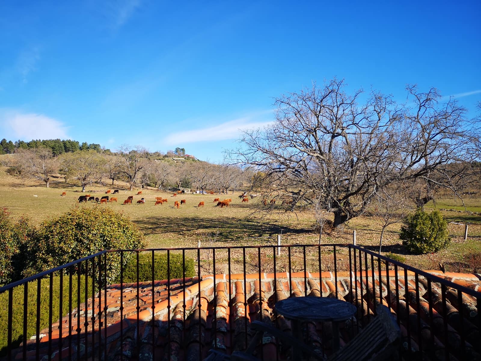 8 bedroom Finca/Country House for sale in Villanueva de la Vera with pool garage - € 1,450,000 (Ref: 10101088)