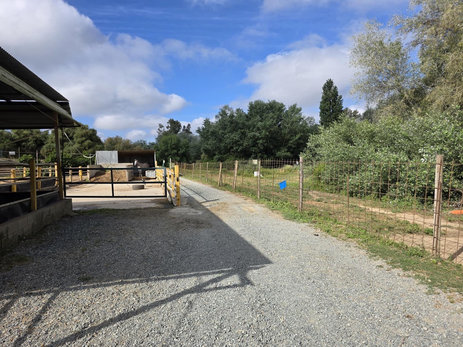 4 soveværelse Finca/Landehus til salg i Aznalcazar - € 220.000 (Ref: 10101089)