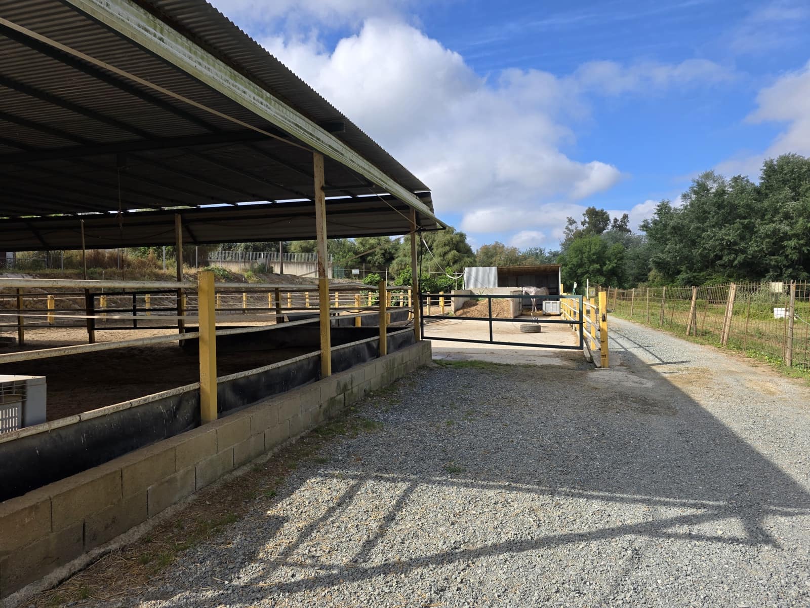 4 soveværelse Finca/Landehus til salg i Aznalcazar - € 220.000 (Ref: 10101089)