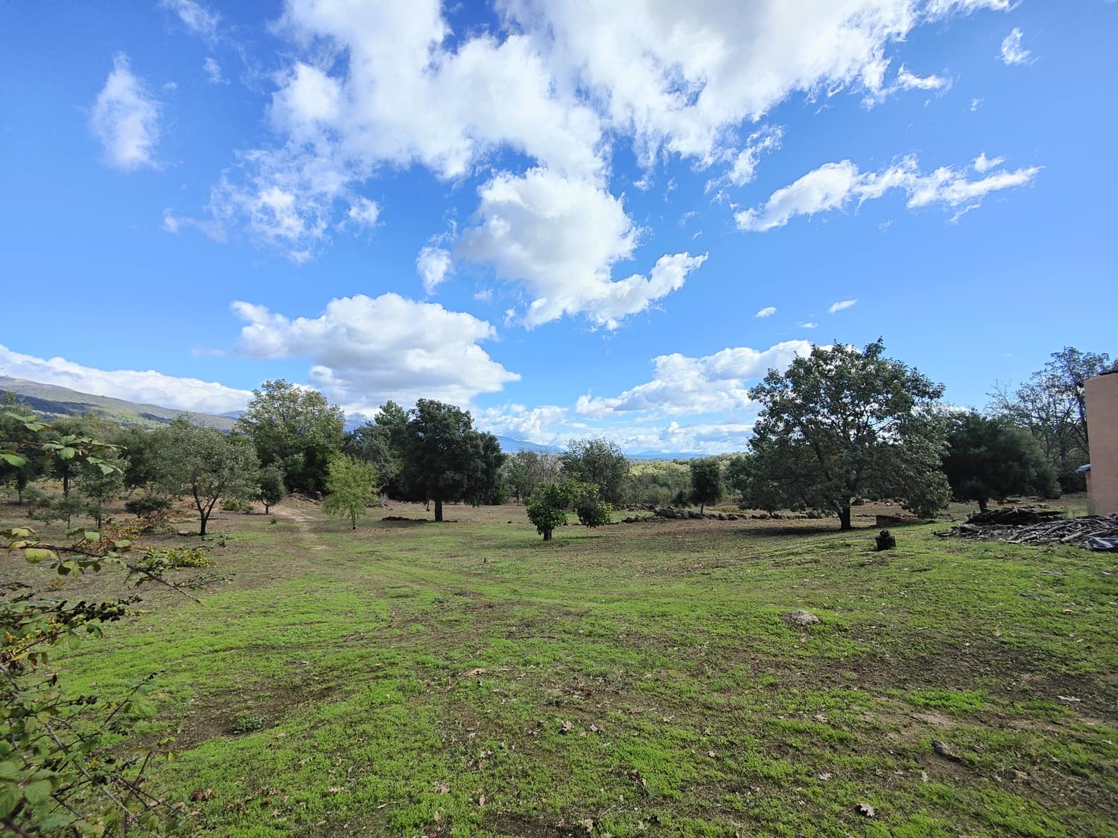 5 bedroom Finca/Country House for sale in Villanueva de la Vera with garage - € 590,000 (Ref: 10101090)