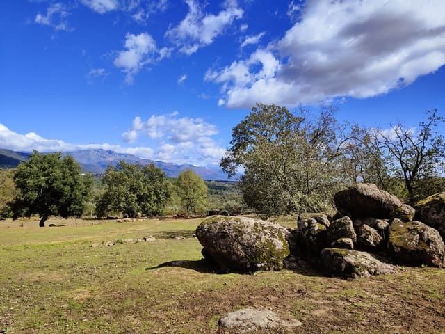 5 chambre Finca/Maison de Campagne à vendre à Villanueva de la Vera avec garage - 590 000 € (Ref: 10101090)