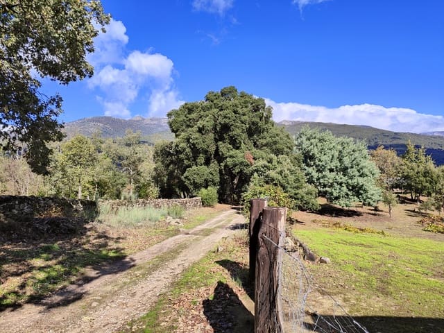 5 chambre Finca/Maison de Campagne à vendre à Villanueva de la Vera avec garage - 590 000 € (Ref: 10101090)