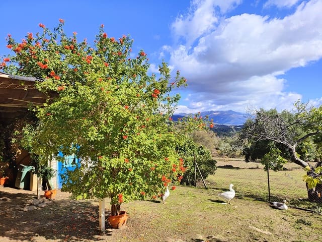 5 chambre Finca/Maison de Campagne à vendre à Villanueva de la Vera avec garage - 590 000 € (Ref: 10101090)