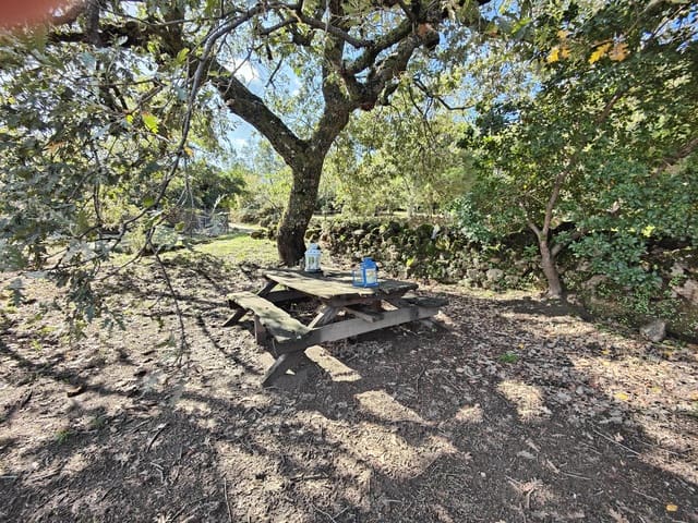5 chambre Finca/Maison de Campagne à vendre à Villanueva de la Vera avec garage - 590 000 € (Ref: 10101090)