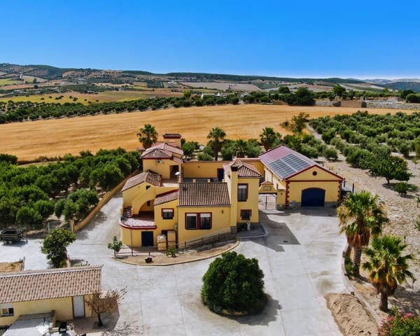 13 bedroom Finca/Country House for sale in Arcos de la Frontera with pool - € 1,700,000 (Ref: 10112119)
