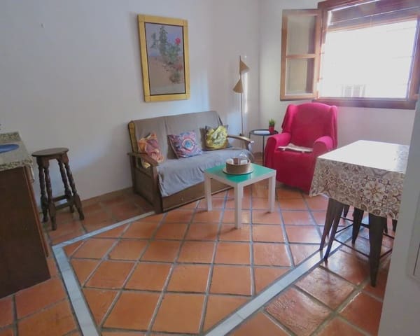 2 Zimmer Apartment zu verkaufen in Albaicin, Granada Stadt mit Garage - 250.000 € (Ref: 10112367)