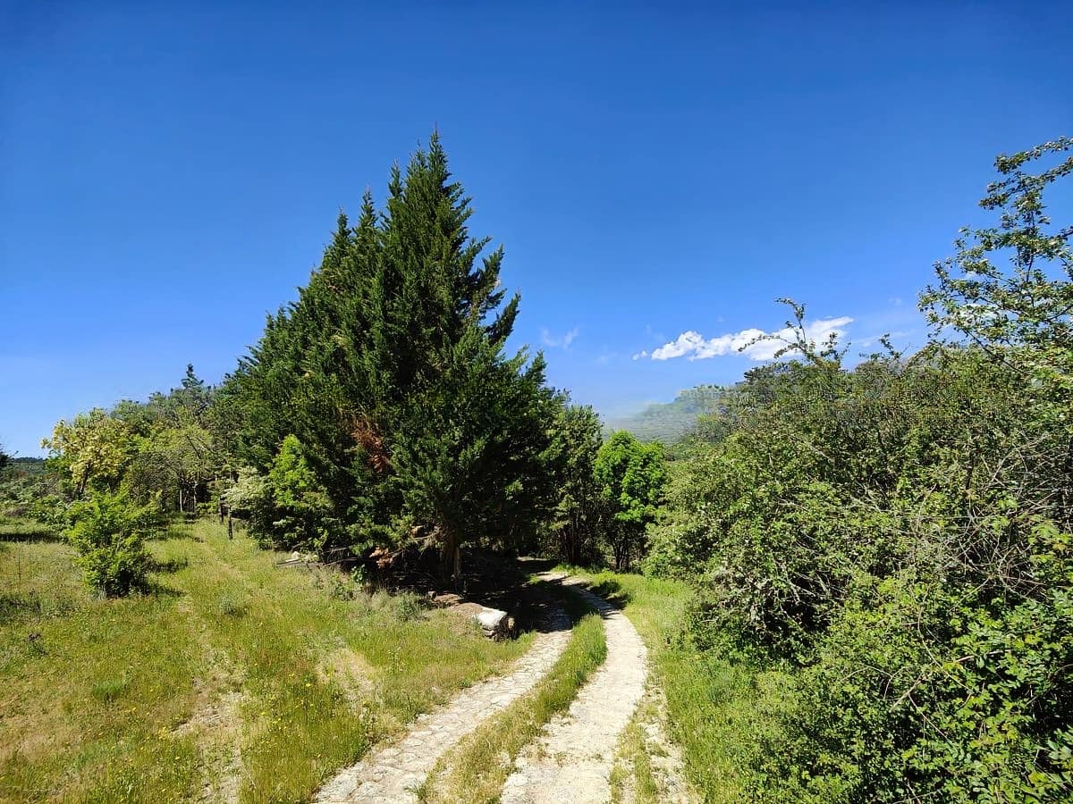 3 soveværelse Finca/Landehus til salg i Villanueva de la Vera - € 490.000 (Ref: 10134838)