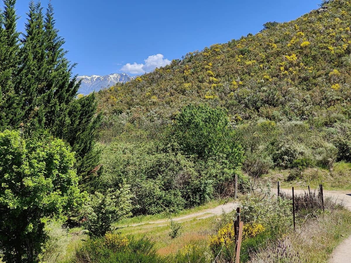 3 soveværelse Finca/Landehus til salg i Villanueva de la Vera - € 490.000 (Ref: 10134838)