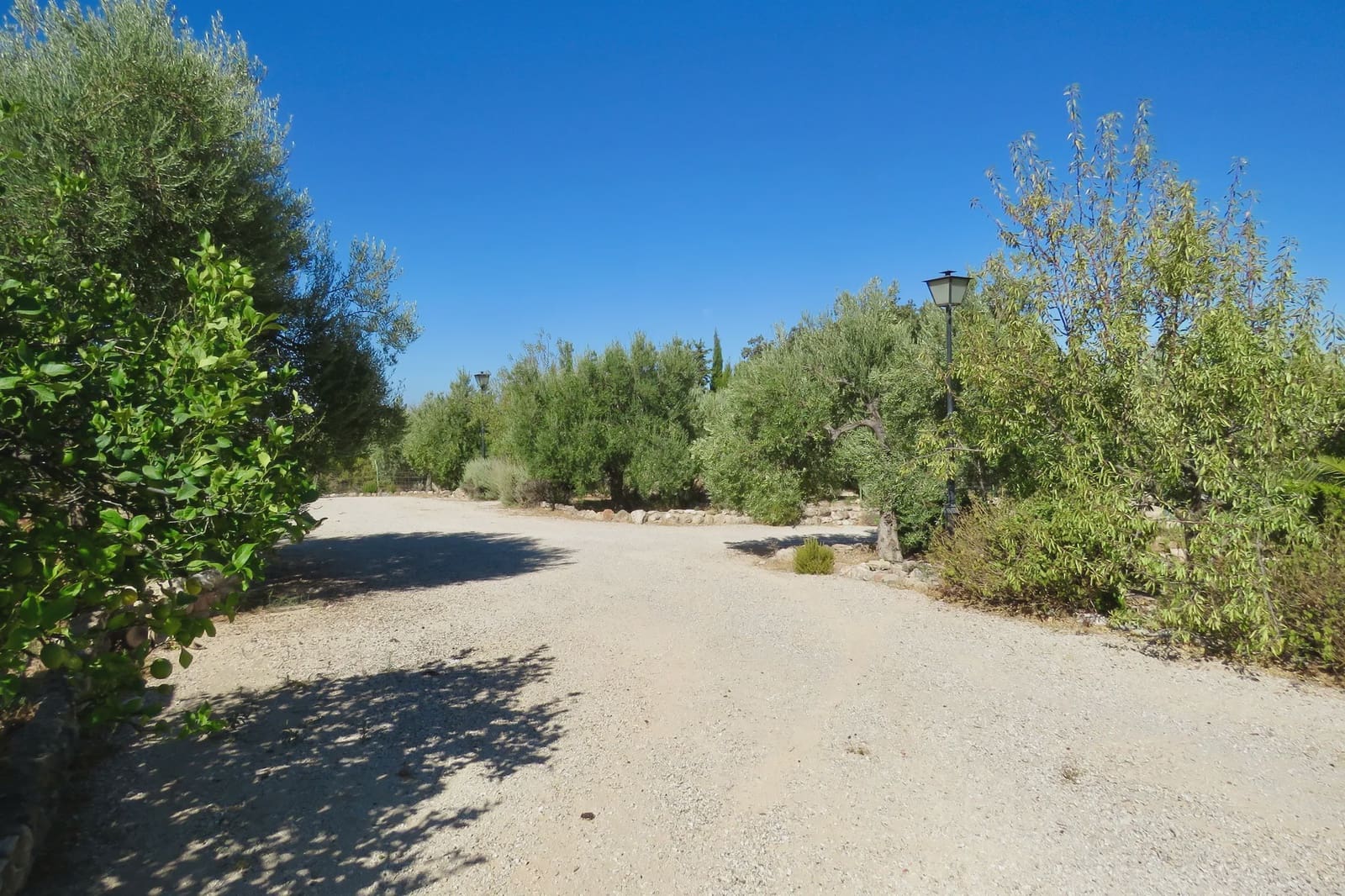 7 slaapkamer Finca/Landhuis te koop in Osuna met zwembad garage - € 750.000 (Ref: 10138924)