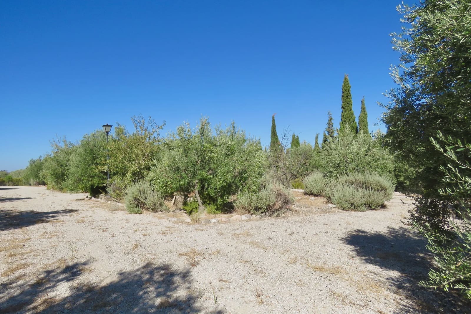 7 slaapkamer Finca/Landhuis te koop in Osuna met zwembad garage - € 750.000 (Ref: 10138924)