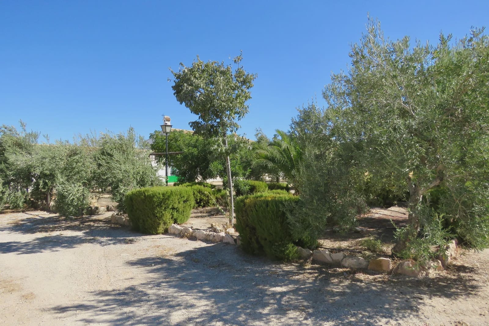 7 slaapkamer Finca/Landhuis te koop in Osuna met zwembad garage - € 750.000 (Ref: 10138924)