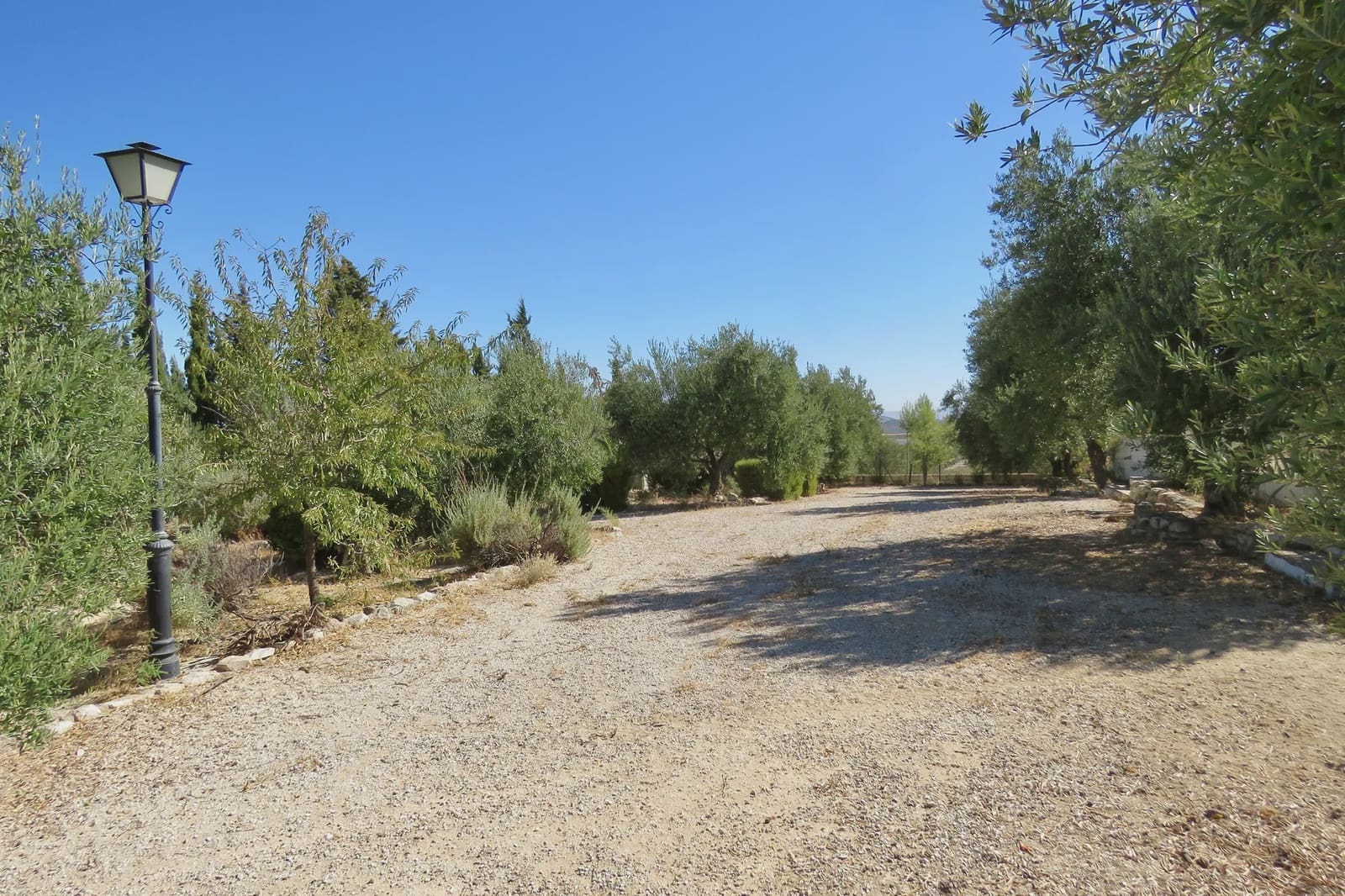 7 slaapkamer Finca/Landhuis te koop in Osuna met zwembad garage - € 750.000 (Ref: 10138924)