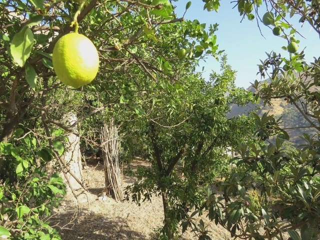 4 bedroom Townhouse for sale in Mecina Bombaron, Alpujarra de la Sierra with garage - € 100,000 (Ref: 10138925)