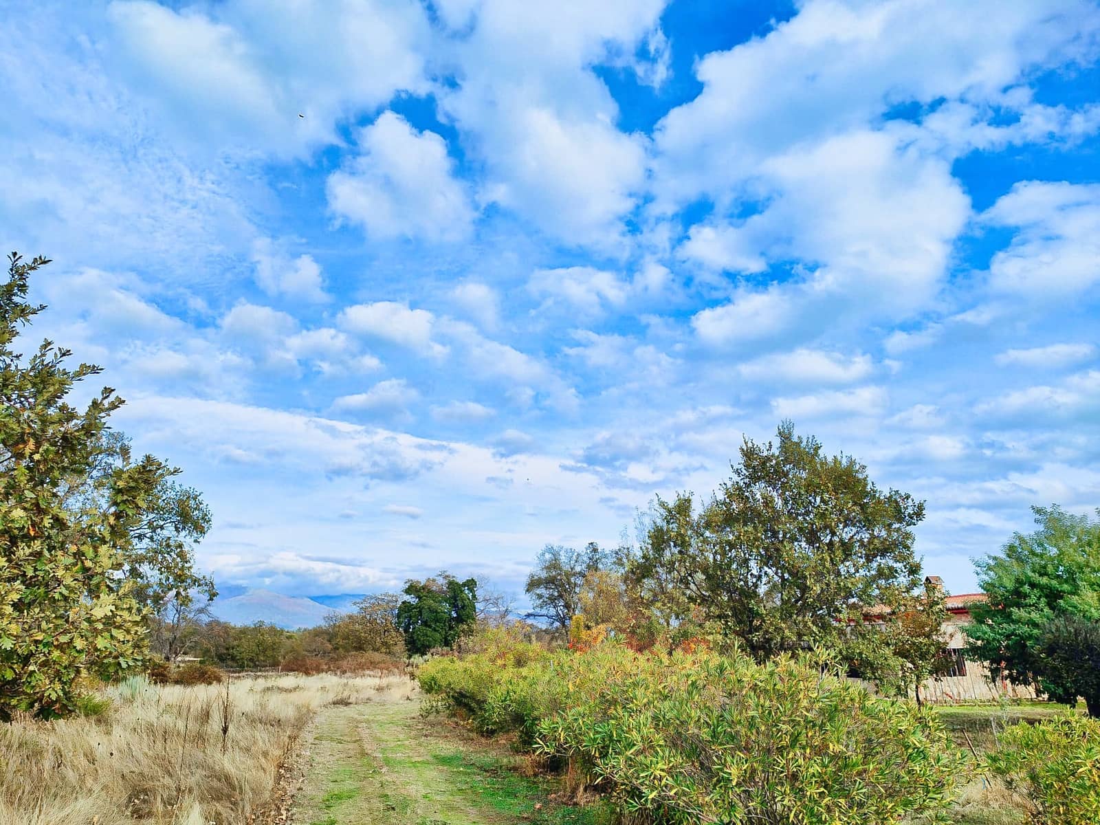 3 soveværelse Finca/Landehus til salg i Villanueva de la Vera med garage - € 510.000 (Ref: 10166053)