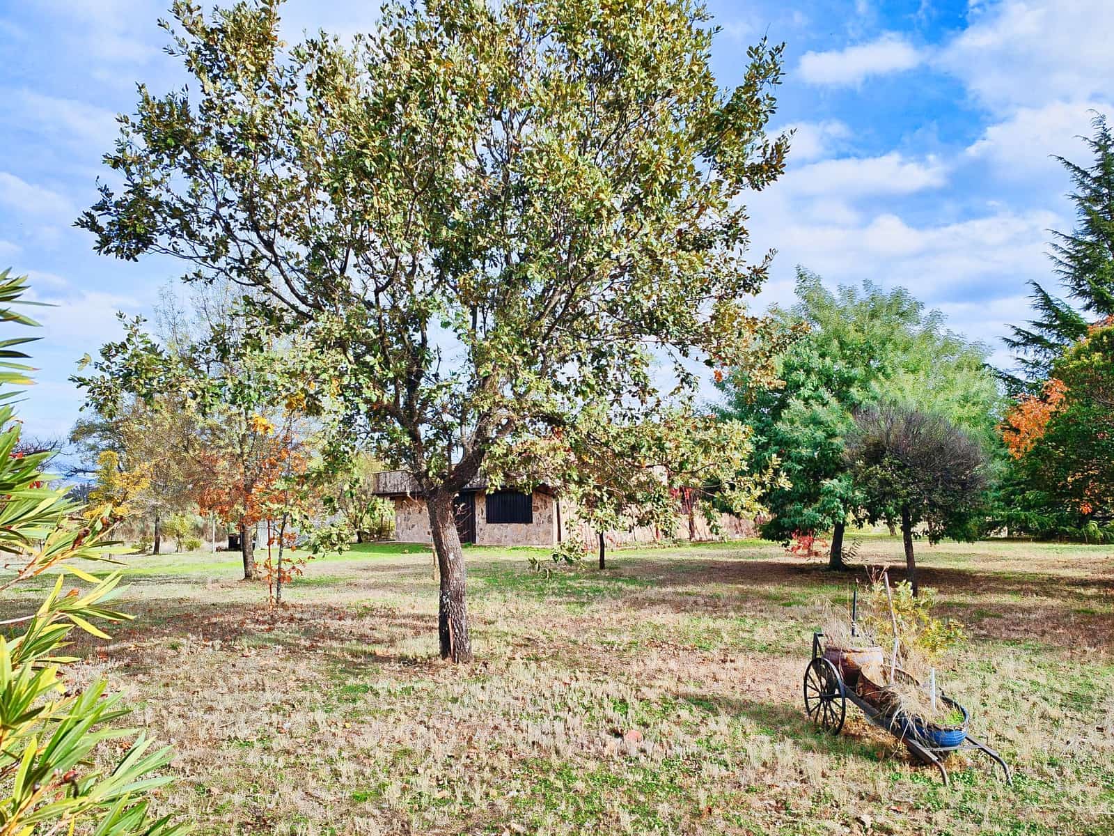 3 soveværelse Finca/Landehus til salg i Villanueva de la Vera med garage - € 510.000 (Ref: 10166053)