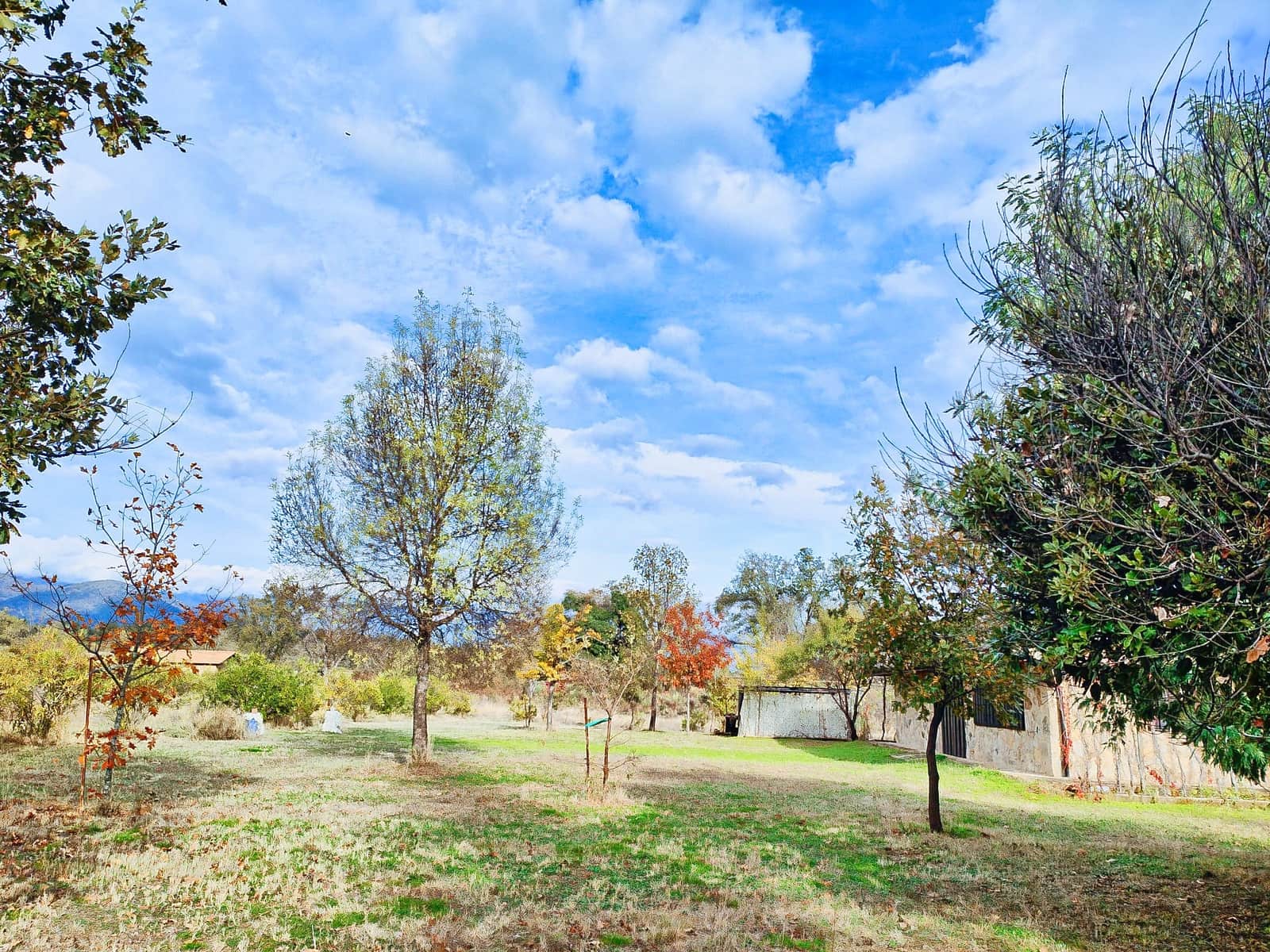 3 soveværelse Finca/Landehus til salg i Villanueva de la Vera med garage - € 510.000 (Ref: 10166053)