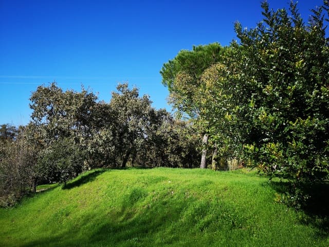 4 soverom Finca/Herregård til salgs i Candeleda med svømmebasseng garasje - € 775 000 (Ref: 10166054)