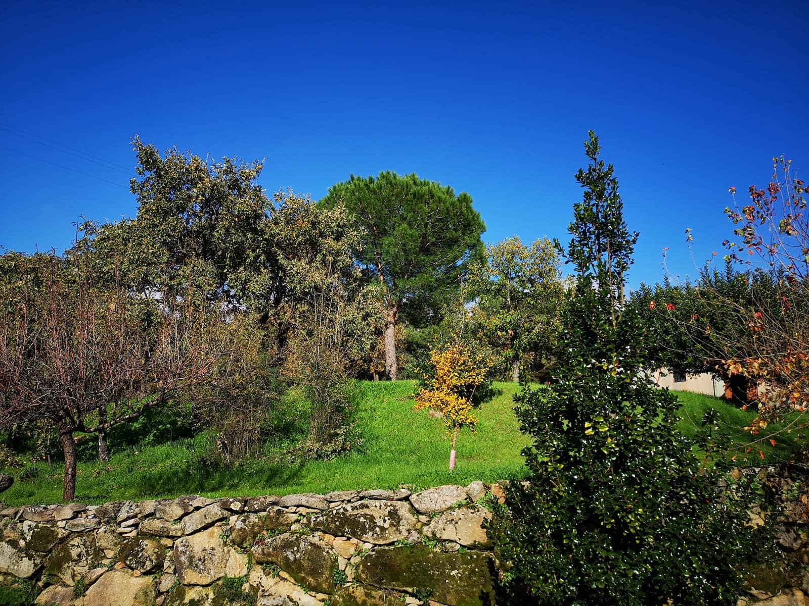 4 soverom Finca/Herregård til salgs i Candeleda med svømmebasseng garasje - € 775 000 (Ref: 10166054)