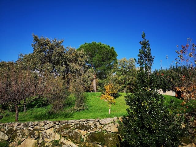 4 soverom Finca/Herregård til salgs i Candeleda med svømmebasseng garasje - € 775 000 (Ref: 10166054)