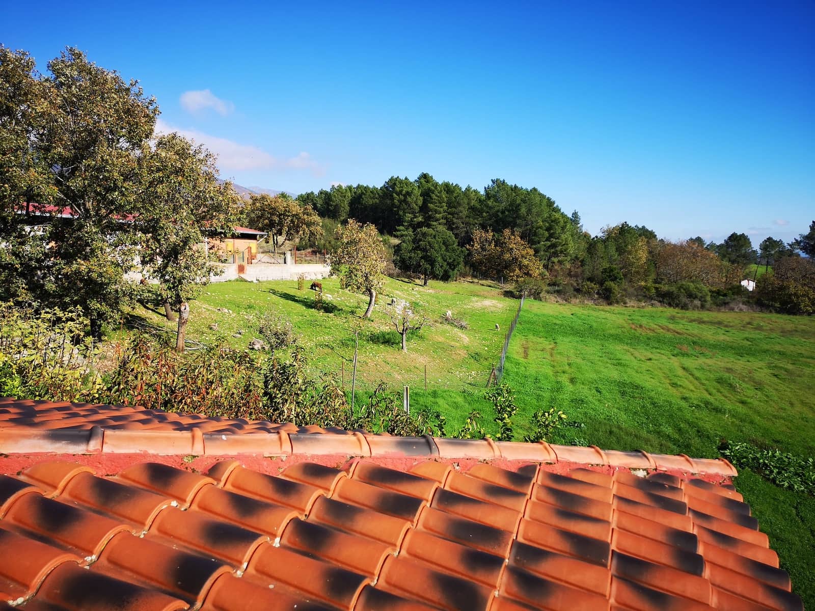 4 soverom Finca/Herregård til salgs i Candeleda med svømmebasseng garasje - € 775 000 (Ref: 10166054)