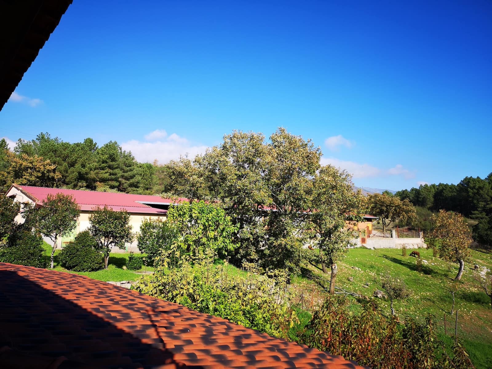 4 soverom Finca/Herregård til salgs i Candeleda med svømmebasseng garasje - € 775 000 (Ref: 10166054)