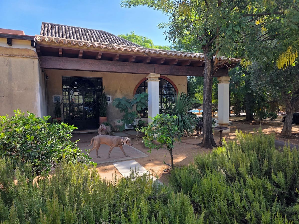 5 sovrum Finca/Hus på landet till salu i Bollullos de la Mitacion med pool garage - 1 600 000 € (Ref: 10175461)