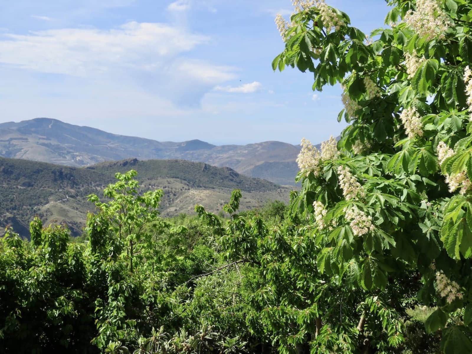 6 soveværelse Finca/Landehus til salg i La Taha - € 420.000 (Ref: 5455681)