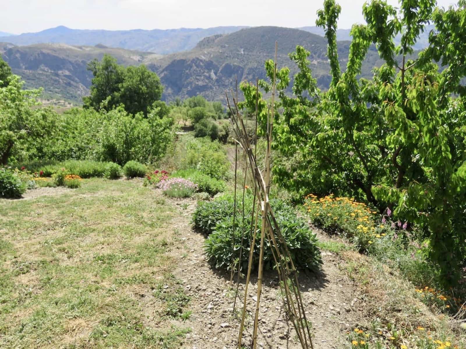 6 soveværelse Finca/Landehus til salg i La Taha - € 420.000 (Ref: 5455681)