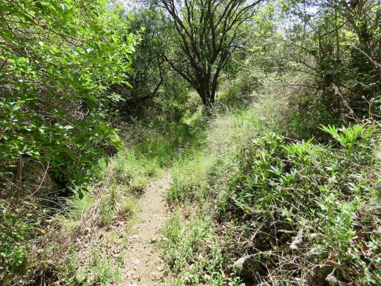 6 soveværelse Finca/Landehus til salg i La Taha - € 420.000 (Ref: 5455681)