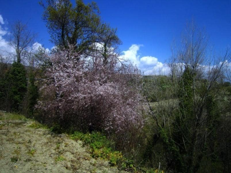 3 soveværelse Finca/Landehus til salg i Yegen - € 250.000 (Ref: 5455752)