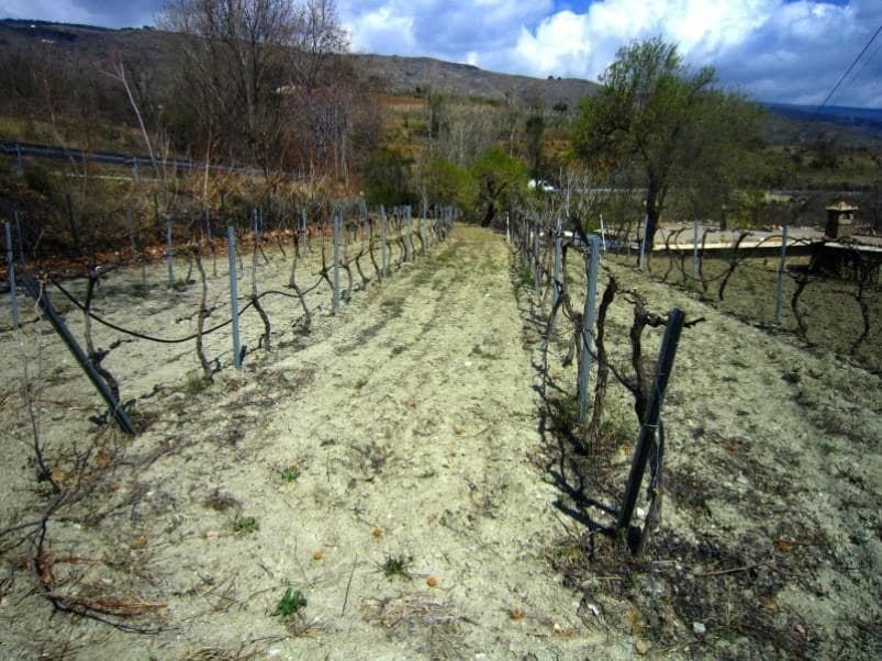 3 soveværelse Finca/Landehus til salg i Yegen - € 250.000 (Ref: 5455752)