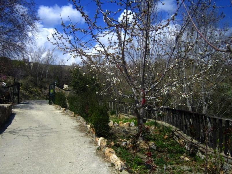 3 soveværelse Finca/Landehus til salg i Yegen - € 250.000 (Ref: 5455752)