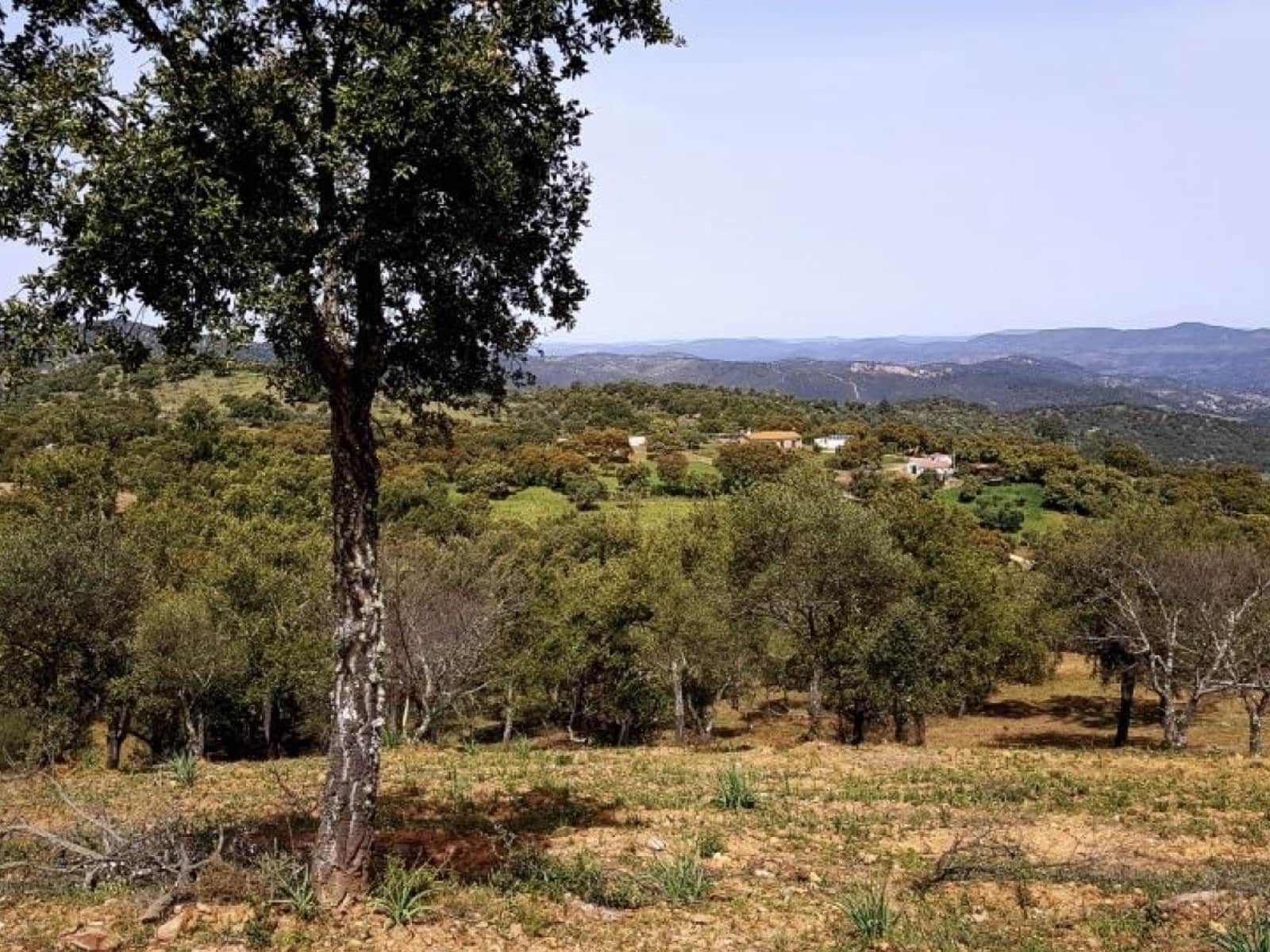 4 soveværelse Finca/Landehus til salg i La Nava - € 525.000 (Ref: 5455794)