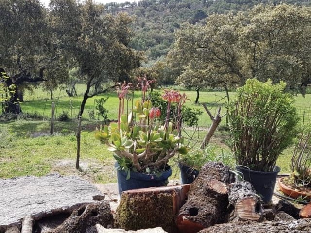 4 quarto Quinta/Casa Rural para venda em La Nava - 525 000 € (Ref: 5455794)