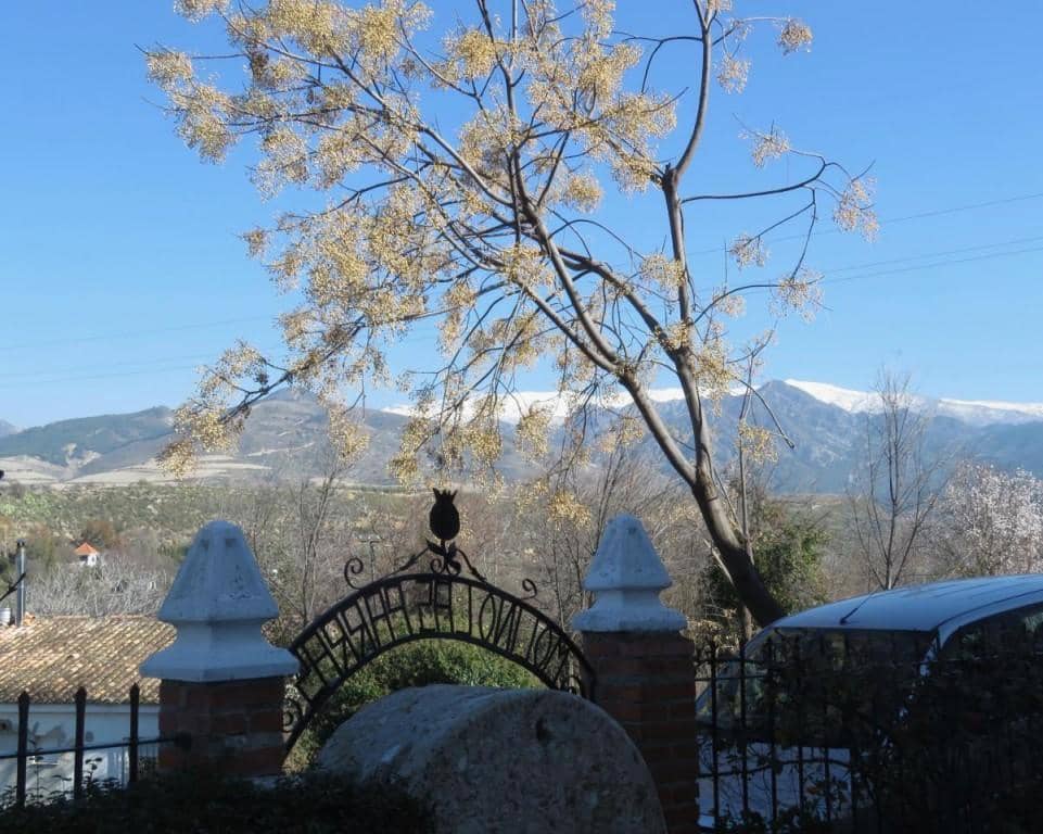 6 camera da letto Finca/Casa di Campagna in vendita in Dilar - 420.500 € (Rif: 5455807)